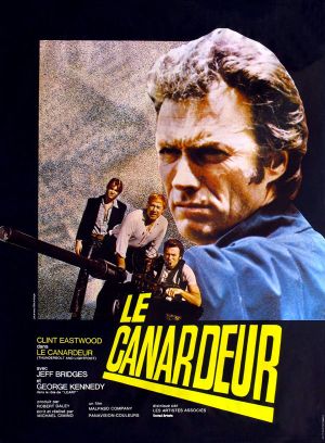 Affiche du film Le canardeur